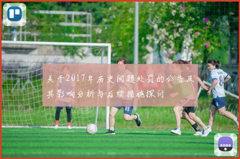 关于2017年历史问题处罚的公告及其影响分析与后续措施探讨