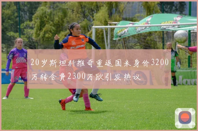 20岁斯坦科维奇重返国米身价3200万转会费2300万欧引发热议